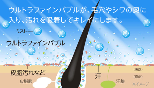 ミラブルは体臭にも効果的？加齢臭にも効く根拠と臭いに対する使用方法！