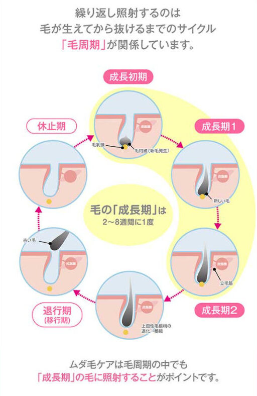 藤田ニコルがCMしてる脱毛器の値段や効果はどうなの？口コミまとめとお得な購入方法